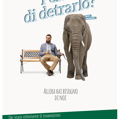 Campagna 730 2021